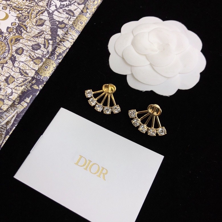 Christian Dior Earrings